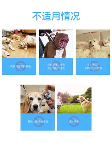 莫迪思 modus 自动超声波止吠器 智能训导专家的无声助手